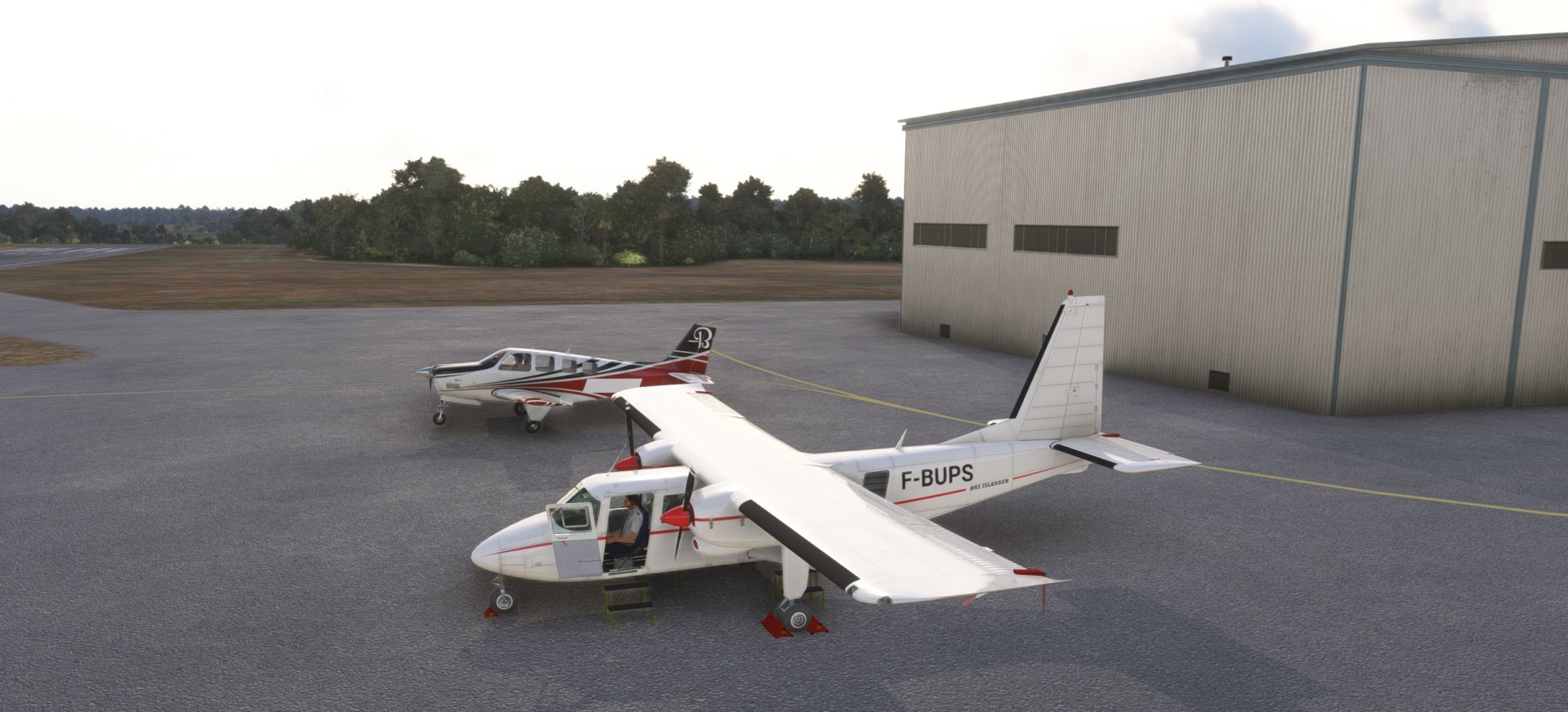 12-03-2026 Brésil 4